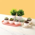 thumbnail image 3 of Plant Drip Tray 14.8 Inch Elliptical Saucers, Garden Home Plastics Potted Pallet, 3 of 4