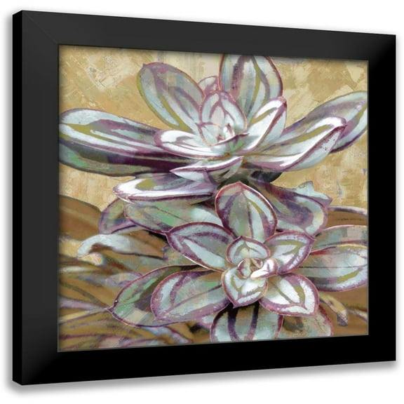 Benson, Lindsay 12x12 Black Modern Framed Museum Art Print Titled - Succulent IV