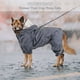 thumbnail image 3 of Abrigo impermeable para perros con capucha, chaqueta impermeable para la lluvia para mascotas, poncho impermeable ligero para exteriores con orificio para arnés (L, azul), 3 of 5