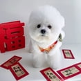 thumbnail image 3 of Pet for Dogs featuring and Awakening Design to Create Festive Atmosphere for Your Companion, 3 of 3