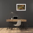thumbnail image 4 of Rita Crane 18x13 White Modern Wood Framed Wall Art Titled - Autumn Glow III, 4 of 5