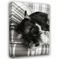 thumbnail image 1 of Karyn Millet 23x32 Gallery Wrapped Canvas Wall Art Titled - Schnauzer, 1 of 4