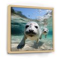 thumbnail image 2 of Designart "Sea Lions at Play - Marine Whispers III" Animals Framed Wall Art - Blue Seal/Sea Lion Hallway Framed Wall Art Decor, 2 of 6