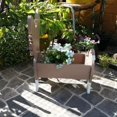 thumbnail image 3 of PENGXAING Liquidation! Pot de Fleurs en Forme d'Animal pour Chien, Design Mignon pour Succulentes, Pot de Fleurs en Ciment, 3 of 6