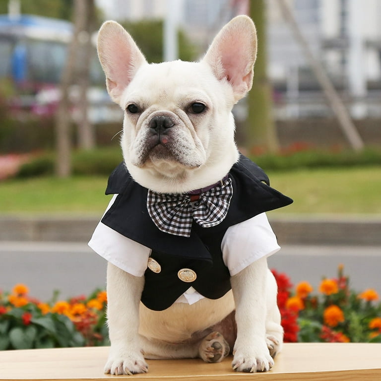 QBLEEV Dog Wedding Suit and Bow Tie Suit Dog Wedding Party Suit