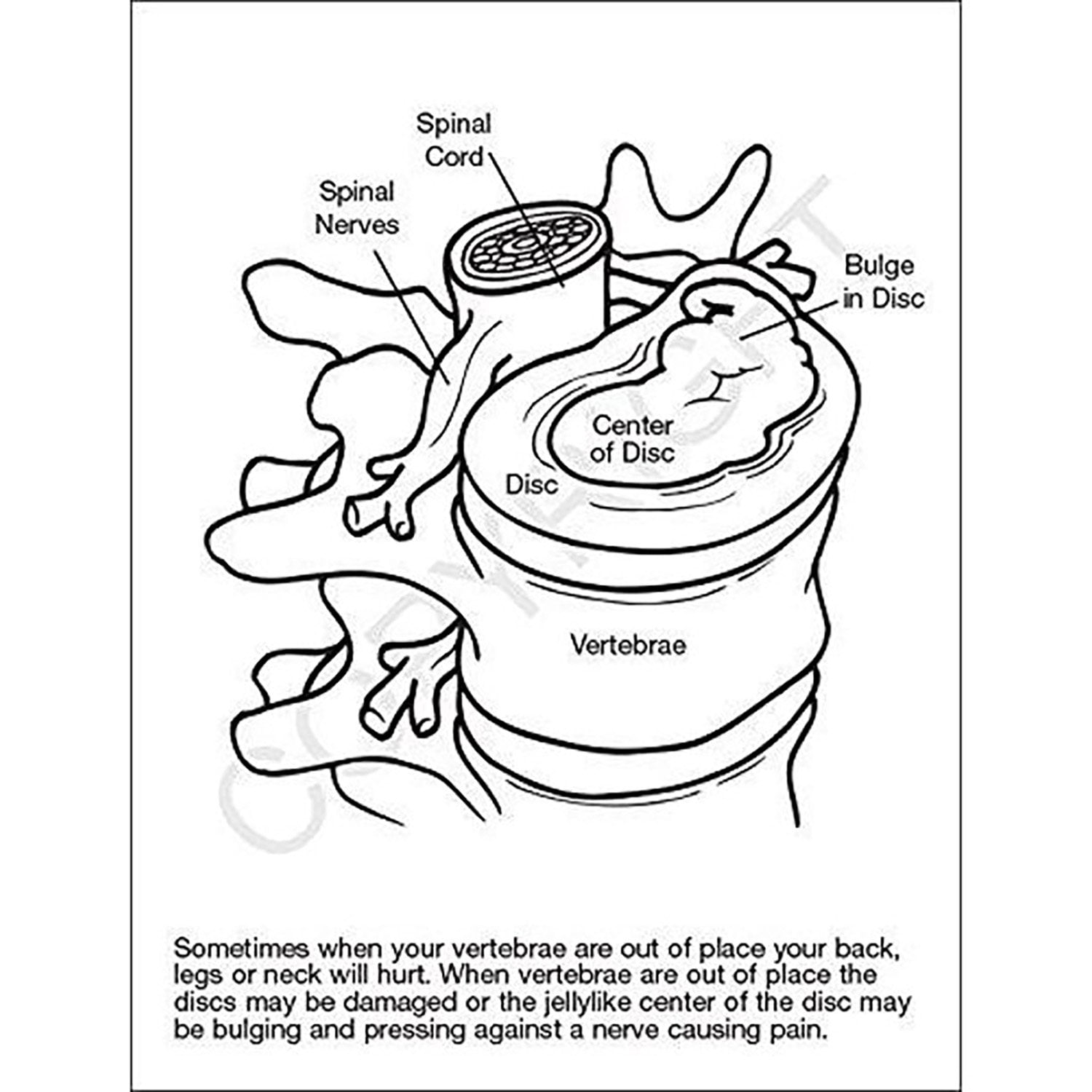 ZoCo: 25 Pack - A Visit to The Chiropractor Kid's Coloring & Activity Books
