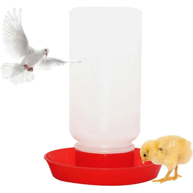 Chicken Waterer Poultry Feeder Chick Feeder Waterer Tools Chicken Duck Quail Poultry Feeder Chicken Waterers Feeder