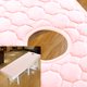 thumbnail image 3 of Funda Protectora de Suave para de de 190x75 Cm, Colchón de Cama de Belleza Cosmética con Bandas Antideslizantes (blanco, Rosa) Sunnimix Cubierta de colchón de mesa de masaje, 3 of 8