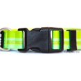thumbnail image 2 of The Rock Solid Collar ID (Rose Gold Green, Medium/Large), 2 of 2