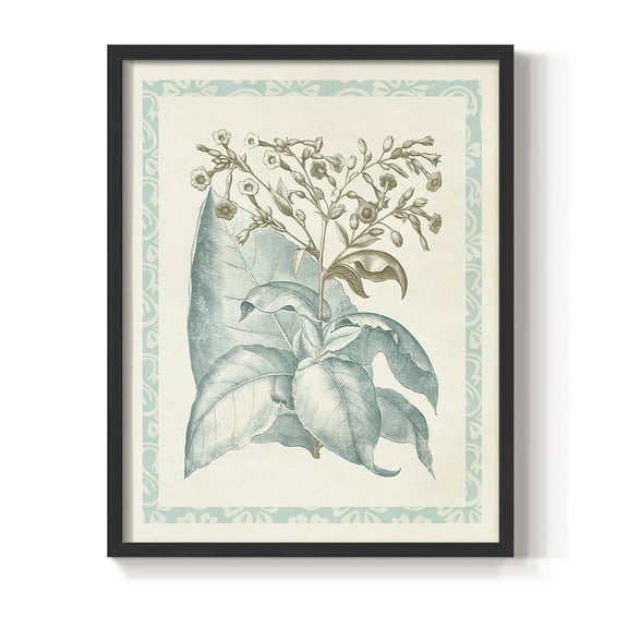 Willow Blue Besler I Framed Print - Solid Wood in Single Picture Frame Solid Wood 2 Framed Print