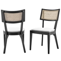 Side Dining Chair, Set of 2, White Black, Wood, Modern Contemporary Farmhouse Coastal, Kitchen Room Cafe Bistro Restaurant Hospitality