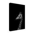 thumbnail image 2 of Trademark Fine Art Frank Ma Im Not Happy Canvas Wall Art, 2 of 4