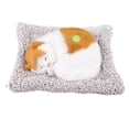 thumbnail image 1 of Juguete para Gatos Decoración de Gato Simulado para Dormir Eliminación de Olores de Carbón de bambú de Felpa con Sonido para Amantes de las Mascotas ANGGREK Otros, 1 of 8