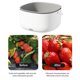thumbnail image 5 of Lavadora ultrasónica de frutas y verduras Lavadora de alimentos separada (gris blanco) Ehuebsd Libre de BPA, 5 of 9
