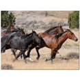 thumbnail image 1 of Horse Picture Ceramic Tile Mural Kitchen Backsplash Bathroom Shower 405305-M43, 1 of 9