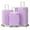 Lilac Purple-3 piece set, variant on Zimtown 3 Piece Luggage Set, Carry on Suitcase Sets Hardside Lightweight Spinner with TSA Lock, Blue