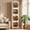 Clear Brown, variant on Avaloomia Home 4 Tier Stackable Storage Bins with Lids and Wheels, 168QT Collapsible Bathroom Cabinets Plastic Closet Organizer, Clear Brown