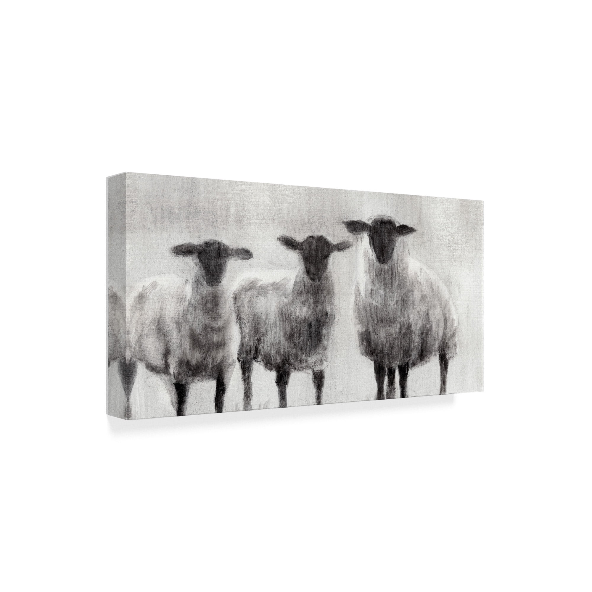 Trademark Fine Art 'Rustic Sheep I' Canvas Art by Ethan Harper
