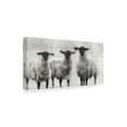 thumbnail image 2 of Trademark Fine Art 'Rustic Sheep I' Canvas Art by Ethan Harper, 2 of 4