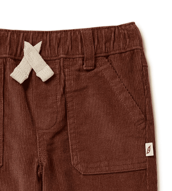 Peter Rabbit Corduroy Pants In Brown | MYER