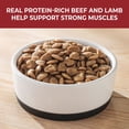 thumbnail image 6 of Nature’s Recipe Prime Blends Grain Free Beef, Lamb & Potato Recipe, Dry Dog Food, 12 Pounds (Packaging May Vary), 6 of 12