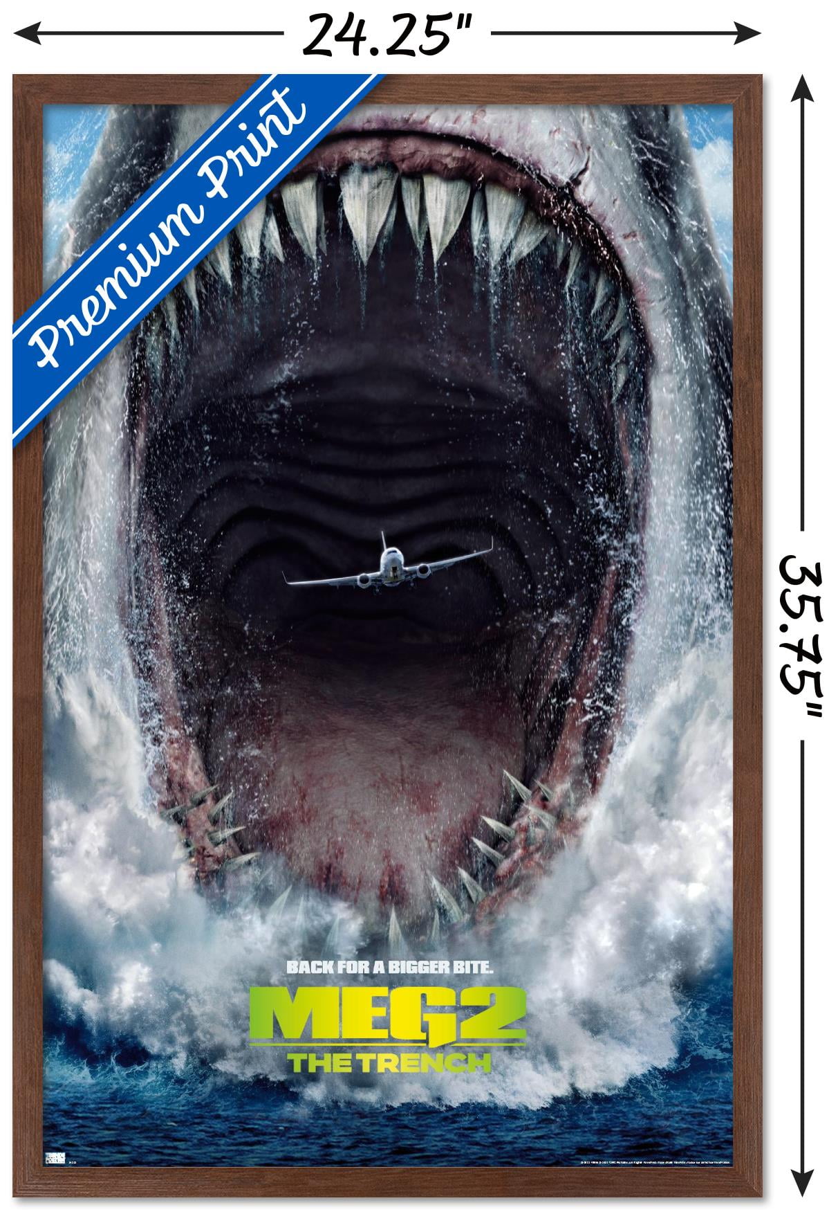 MEG ポスターセット f840e4e2-564d-4859-bb01-
