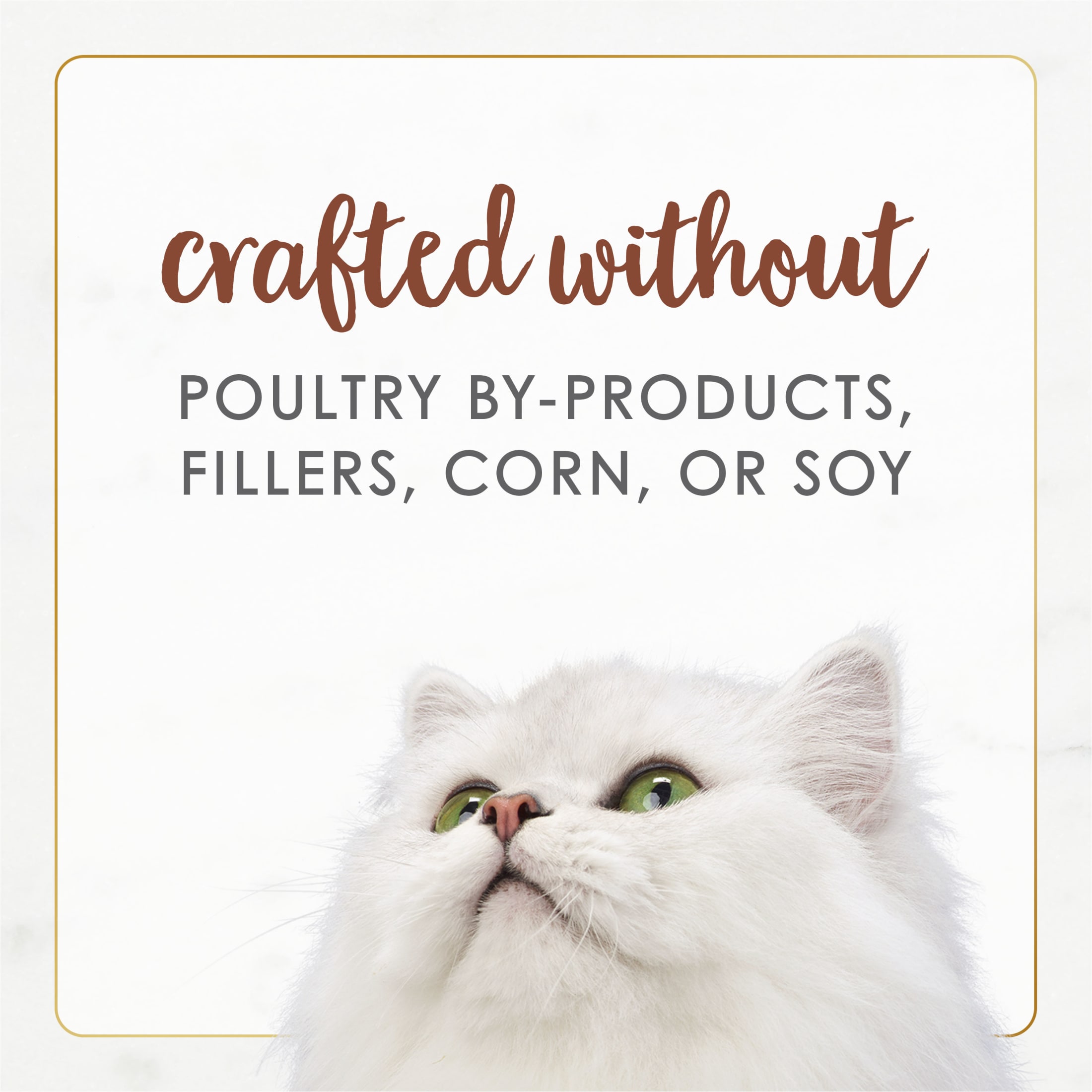 Fancy Feast Gourmet Naturals Poultry & Beef Variety Wet Cat Food, 3 oz, 30-Pack photo 8