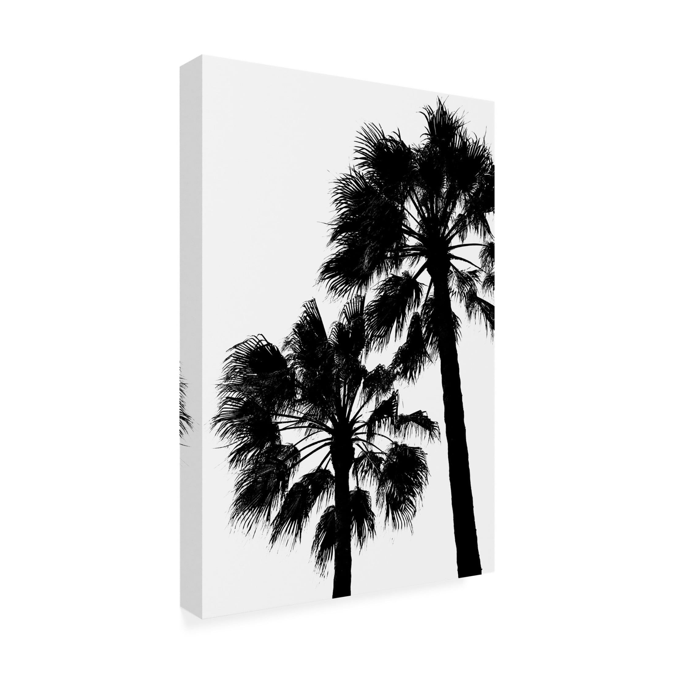 Trademark Fine Art Pictufy Studio III Palm Contrast Canvas Wall Art