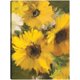 thumbnail image 1 of Girasoles amarillos brillantes, 1 of 4