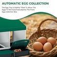 thumbnail image 4 of 3-Hole Green Metal Chicken Nesting Box – Removable Tray, Roll-Away Egg Collection, Weatherproof Galvanized Steel, Easy Assembly & Cleaning, Hen Roosting Perch – Backyard Poultry Coop, Farm, 4 of 8