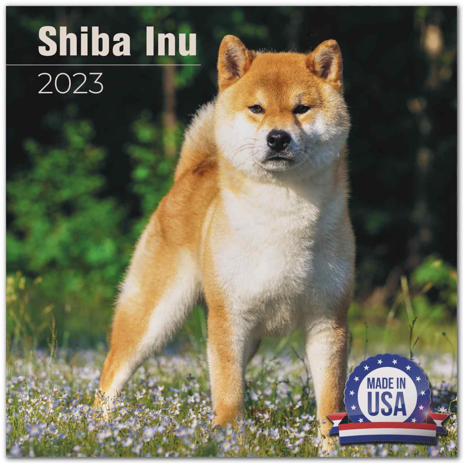2022 2023 Shiba Inu Calendar - Dog Breed Monthly Wall Calendar - 12 x 24 Open - Thick No-Bleed Paper - Giftable - Academic Teacher's Planner Calendar Organizing & Planning - Made in USA