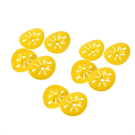 Wasp Trap Catcher Flower Shape Flying Insect Funnel for Bees Garden Outdoor Hanging