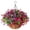 A, variant on Flower Basket Decoration, Artificial Hanging Flowers Plants with Basket Spring Outdoor Outside Decoration Faux Silk Colorful in Planter Look Real Home Porch Patio Balcony Yard Decor