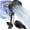 Black, variant on Filtered Shower with Handheld, High 7-Spd Detachable Chrome Showerhead with Stainless Hose, Water Softener Filter Beads for Hard Water - Remove Chlorine, Dry Itchy
