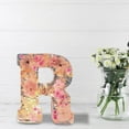 thumbnail image 3 of Coollooc Floral 26 Letters Resin Night Light, Dried Flower Letters Night Light, Pressed Flower Letters with LED Light for Mother Wife, Personalized Name Creative Letter Lamp Birthday Party Decor, 3 of 4