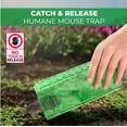 thumbnail image 2 of Holaki Humane Mouse Trap – Child-Resistant Indoor Rodent Traps (2-Pack/4-Pack), 2 of 6