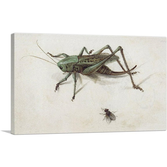 ARTCANVAS A Grasshopper Beneath Which a Fly 1580 Canvas Art Print by Hans Hoffmann - Size: 26" x 18" (0.75" Deep)
