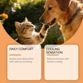 thumbnail image 5 of Eeljoy Pet Joint Care Cream, Gentle Moisturizing Formula For Daily Pet Care, Safe & Comfortable For Dogs & Cats Of All Sizes, 5 of 8