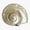 1pcs, variant on Shell Sticker
