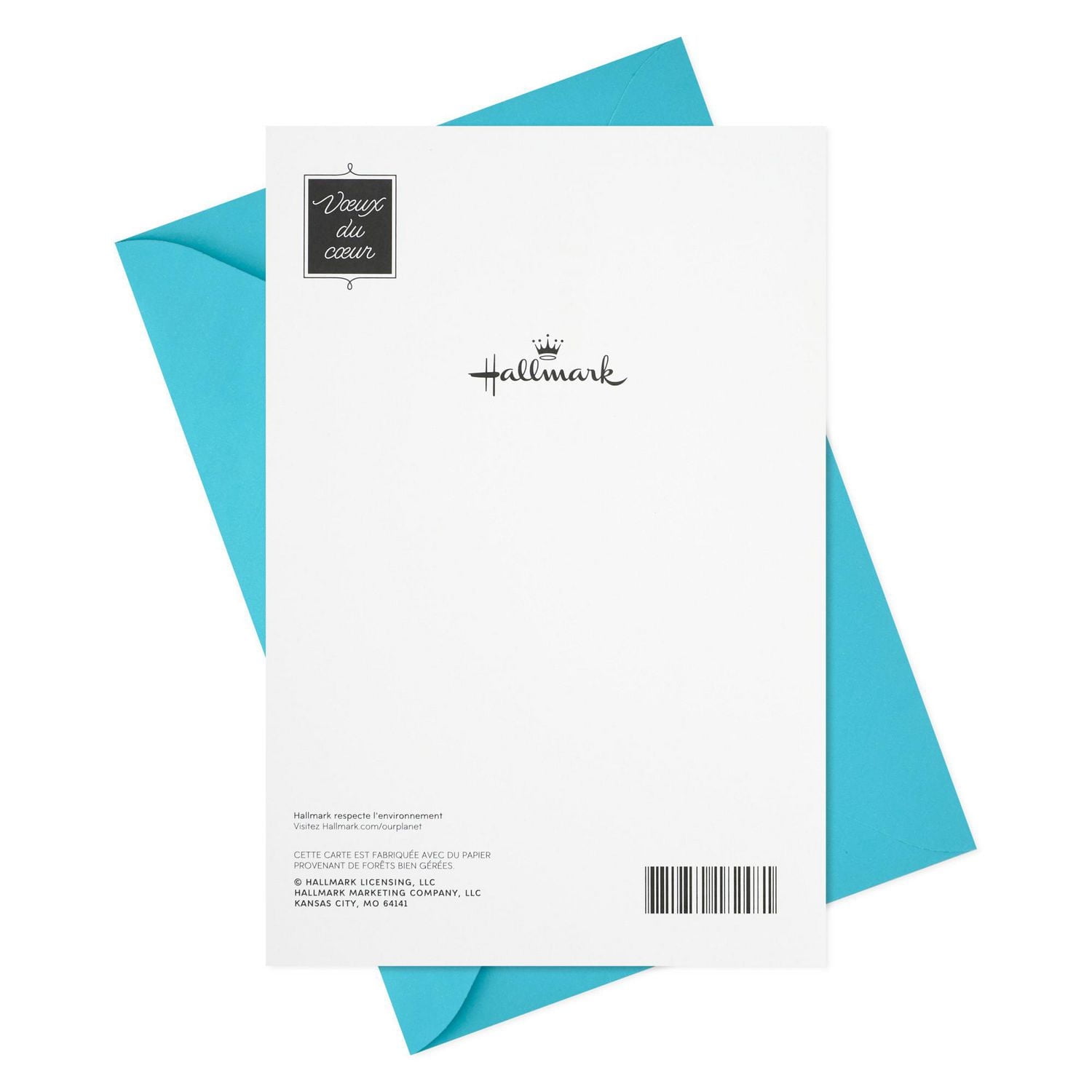 Hallmark Birthday Card for Grandson (Balloons)