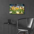 thumbnail image 6 of Epic Art 'Poppy Field' by Elise Catterall, Acrylic Glass Wall Art, 24"x16", 6 of 8