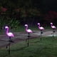 thumbnail image 4 of Luces Solares Para Exteriores ANGGREK Impermeables Flamencos Lámparas LED de Estaca, 4 of 8