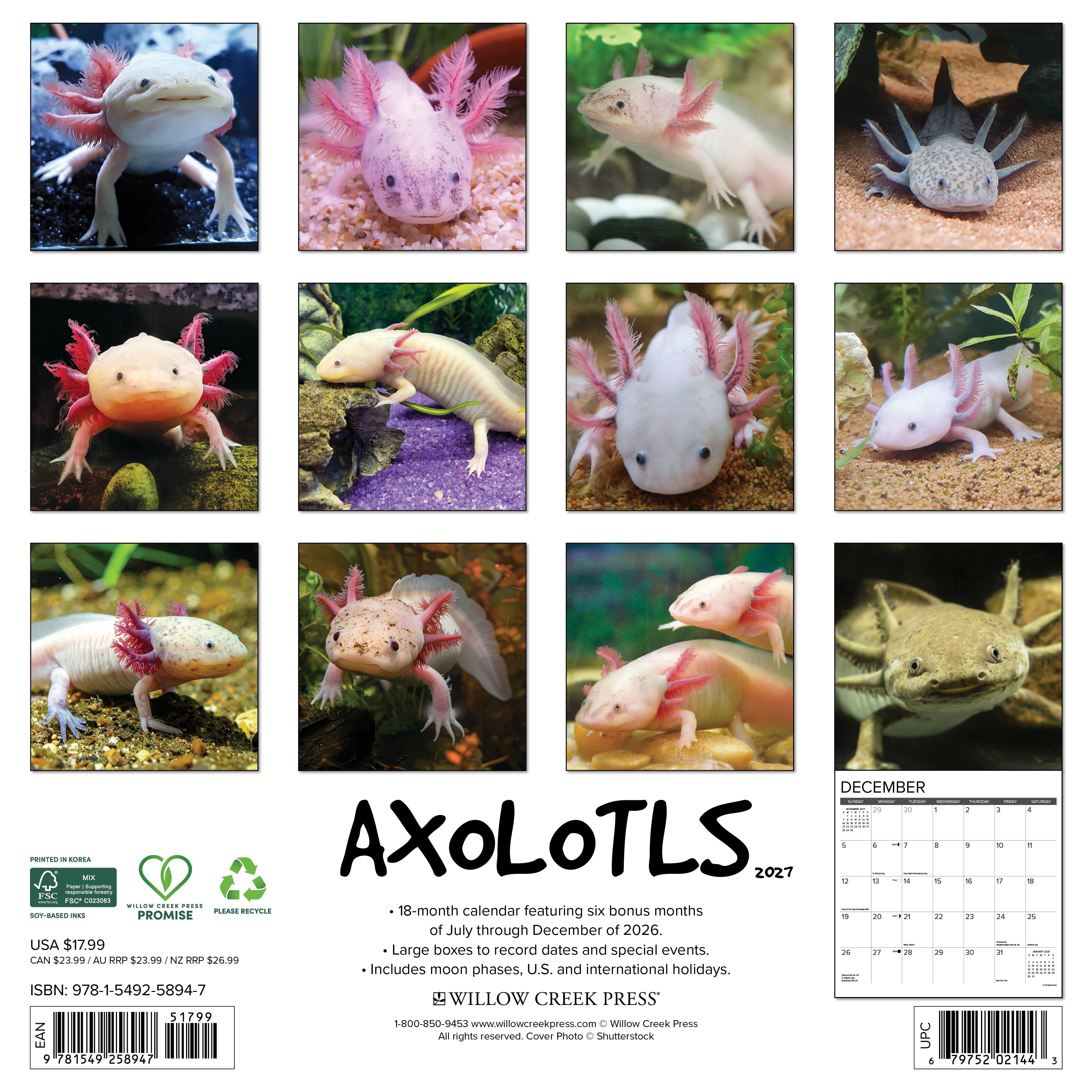 Willow Creek Press, Axolotls 2027 Wall Calendar