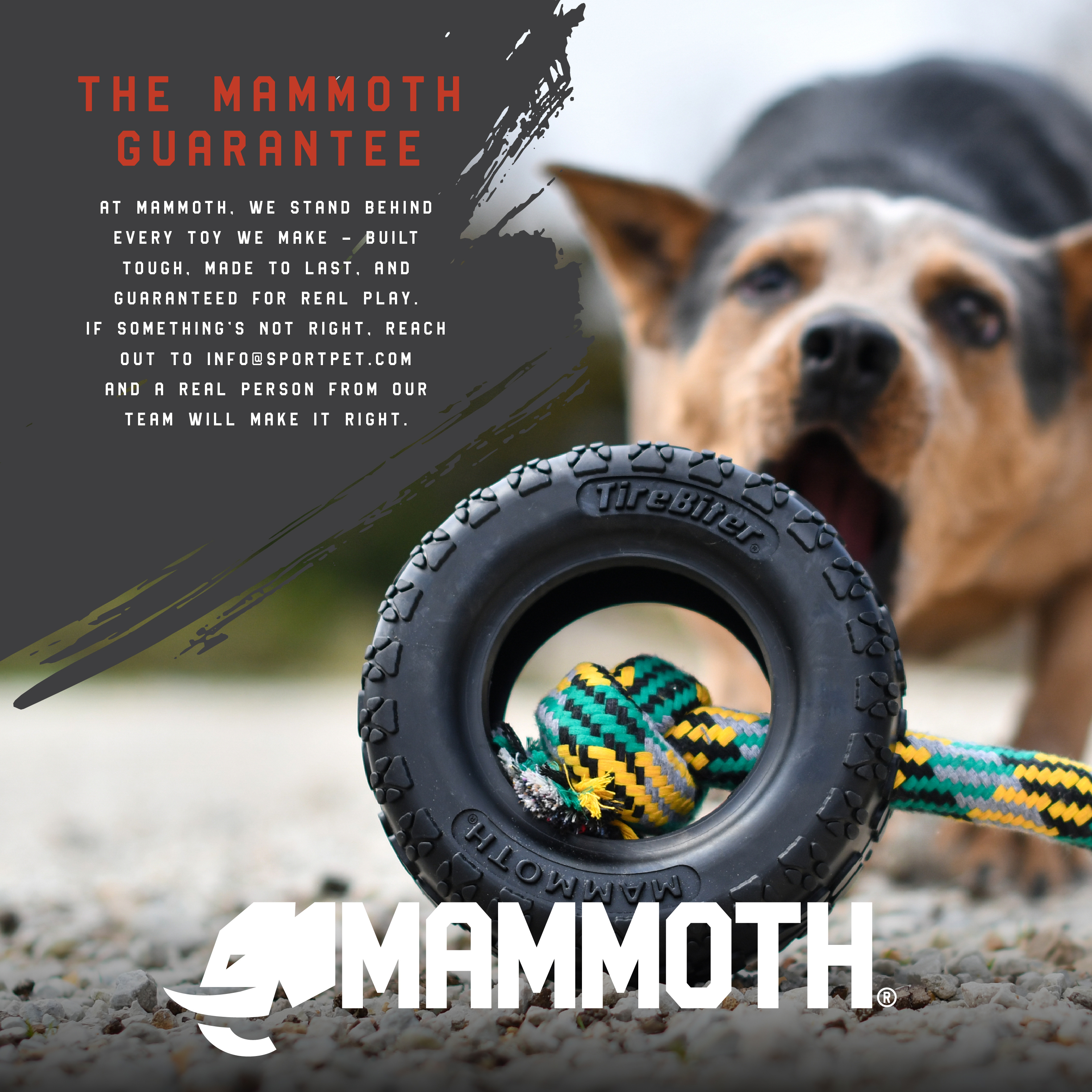 Mammoth Adjustable Fashion Dog Collar, Green, Medium photo 8