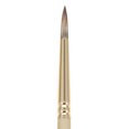 thumbnail image 1 of CEPILLO DIXON TIC/PRINCETON DIXON TIC/PRINCETON BRUSH  PB6600R12, 1 of 1
