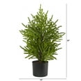 thumbnail image 2 of Nearly Natural 2' Norfolk Island Christmas Pine Artificial Tree in Decorative Planter, 2 of 4
