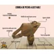 thumbnail image 5 of Correa De Pecho Táctica P/perros, Nylon Ajustable Con Mango, 5 of 6