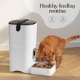 thumbnail image 4 of Comedero automático para gatos Pitpet 6L con pantalla LCD y grabadora de voz, 4 of 6