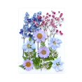 thumbnail image 1 of Flores prensadas secas, juego de flores de , hermosa artesanía, fabricación de velas, Material de fabricación DIY para pantallas de , Mezcla violeta, 1 of 8