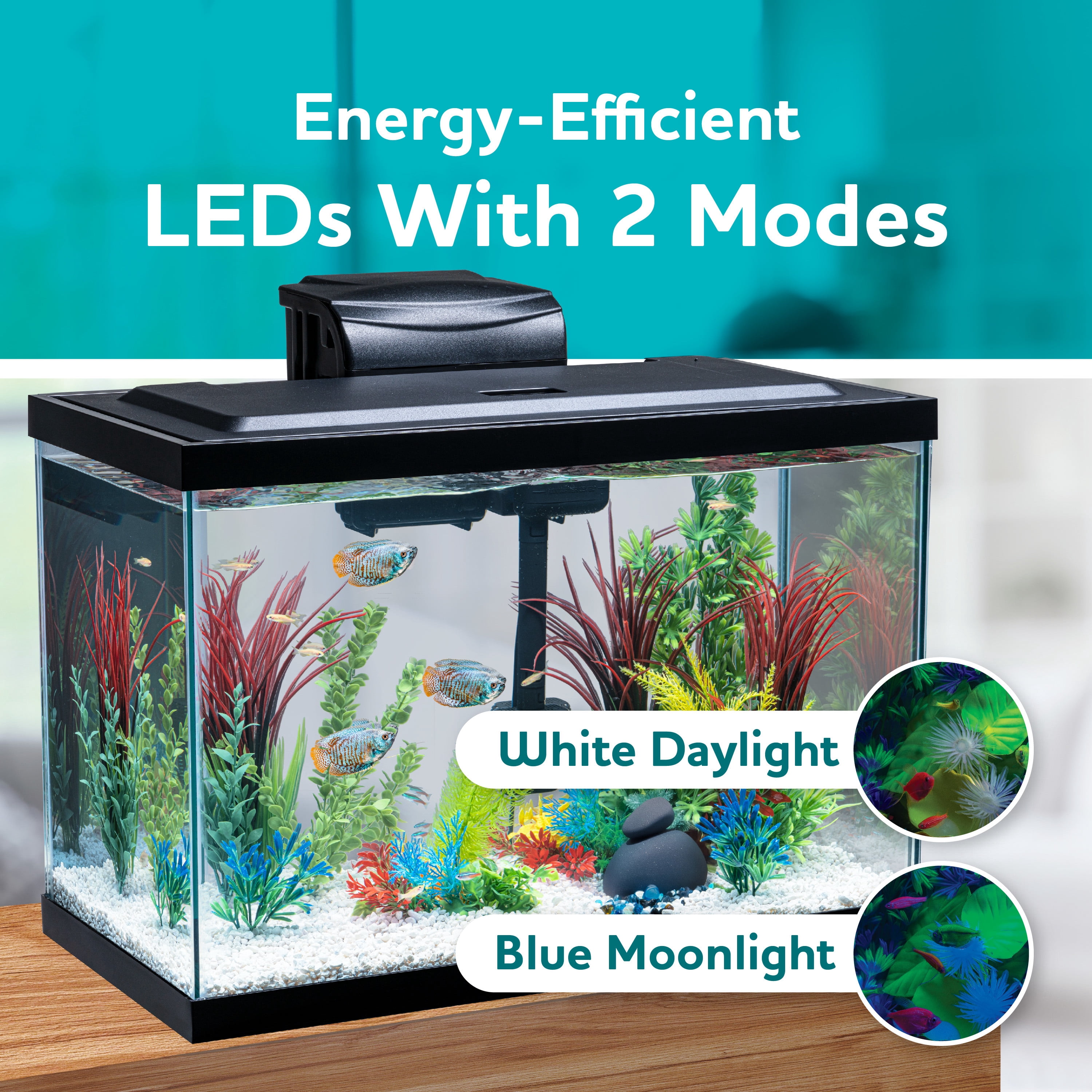 Vibrant Life 20 Gallon Aquarium Starter Kit with Blue & White LED Lights